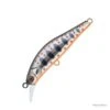 SAKURA ARTACT TROUT 53S 6GR HAMECONS SIMPLES T13