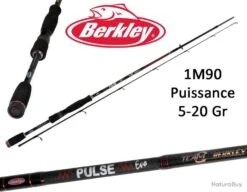 Canne Leurre Spinning Berkley Pulse Evo 1M90 (5/20gr) 632ML