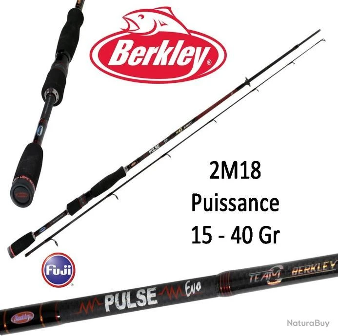 Canne Leurre Spinning Berkley Pulse Evo 2M18 (15-40 Gr) 722H 1 Canne Leurre Spinning Berkley Pulse Evo 2M18 (15-40 Gr) 722H