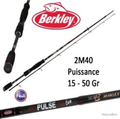 Canne Leurre Spinning Berkley Pulse Evo 2M40 (15-50 Gr) 802H