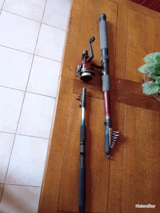 Cannes A Truite 1 Cannes A Truite