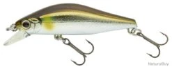 Leurre Daiwa Wise Minnow 50HR - 5cm METALIC THROUGH AYU