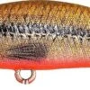 Leurre Duo Spearhead Ryuki 38S VAIRON RED BELLY