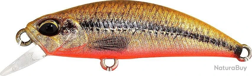 Leurre Duo Spearhead Ryuki 38S VAIRON RED BELLY 1 Leurre Duo Spearhead Ryuki 38S VAIRON RED BELLY