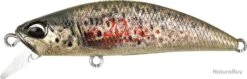 Leurre Duo Spearhead Ryuki 50 Sk BROWN TROUT ND