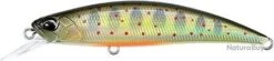 Leurre Duo Spearhead Ryuki 60 S ANA4048