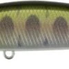 Leurre Duo Spearhead Ryuki 70 S BABY TROUT