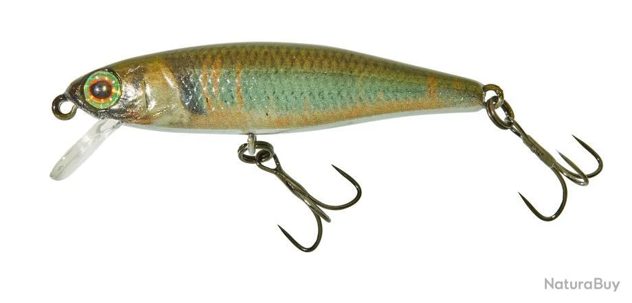 Leurre Illex Tiny Fry 50 Sp Rt - 5Cm VAIRON 1 Leurre Illex Tiny Fry 50 Sp Rt - 5Cm VAIRON