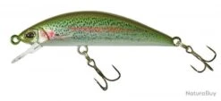 Leurre Illex Tricoroll 55 S RT Rainbow Trout