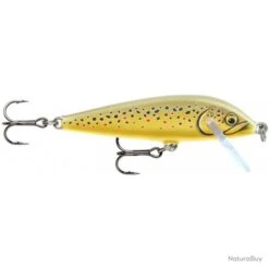 Leurre Rapala Countdown 5cm ATR