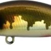 Leurre Zip Baits Rigge Flat 50S VAIRON