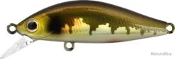 Leurre Zip Baits Rigge Flat 50S VAIRON