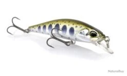 Poisson Nageur Duo Ryuki Takumi 50 S 4034 - Yamame