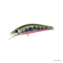Poisson Nageur Duo Ryuki Takumi 50 S 4068 - Yamame Red Belly