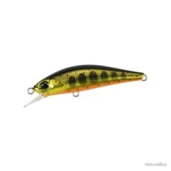 Poisson Nageur Duo Ryuki Takumi 50 S 4084 - Gold Yamame