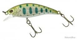 Poisson Nageur Illex Flat Tricoroll 45 S Silver Yamame