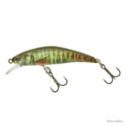 Poisson Nageur Illex Tricoroll 53 SHW RT Spawning Vairon