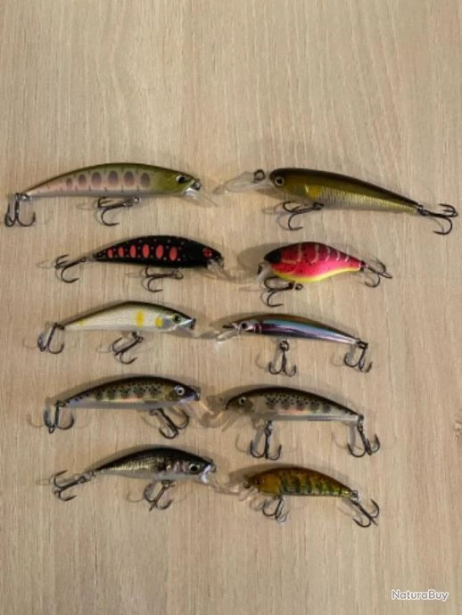 Smith Poissons Nageurs Truite Perche 1 Smith Poissons Nageurs Truite Perche