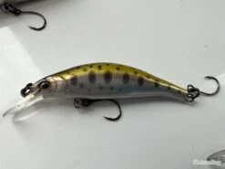 RAYTUNE - RX50MDS - 3,3GR - YAMAME