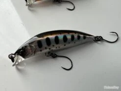 RAYTUNE SA50RS - 3,5GR