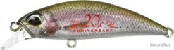 DUO SPEARHEAD RYUKI 45 S - CCC3836 "RAINBOW TROUT ND"