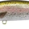 DUO SPEARHEAD RYUKI 60 S - CCC3836 RAINBOW TROUT ND