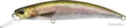 DUO SPEARHEAD RYUKI 60 S - CCC3836 RAINBOW TROUT ND