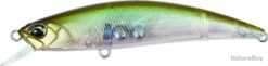 DUO SPEARHEAD RYUKI 80 S - GEA3006 GHOST MINNOW
