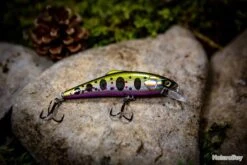 Sultan Of Swim 63 - MNT