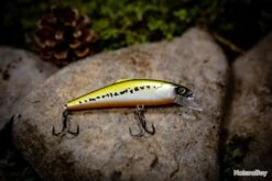 Sultan Of Swim 63 - Vairon