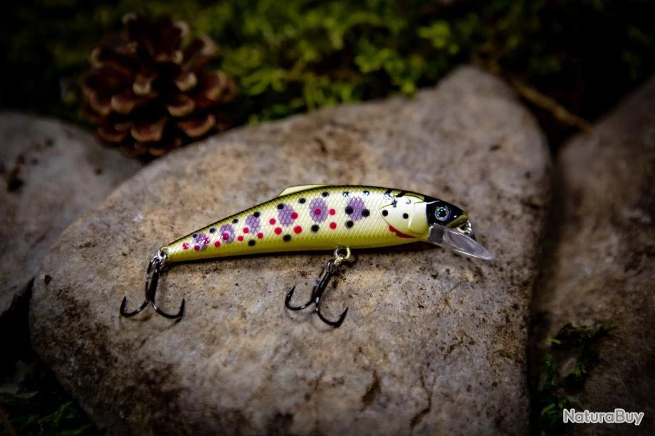 Sultan Of Swim 75 - Browntrout 1 Sultan Of Swim 75 - Browntrout