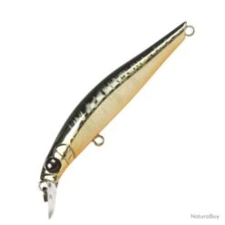 Jackson Artist Fr70 7cm Gds