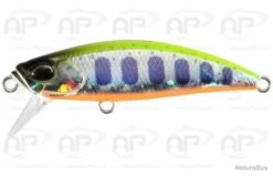 Leurre Truite Duo Spearhead Ryuki 51S 51mm 5.5 Gr Chart Back Yamame Ob