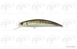Leurre Truite Duo Spearhead Ryuki 95S Salt Water 17 Gr 95 Mm Real Aji
