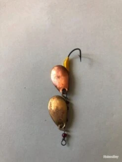 4 Cuillère Double Or Cuivre 3 Cm Pêche TRUITE Occasion Collection -Pêche Expert 00003 4 cuillere double or cuivre 3 cm peche TRUITE occasion collection