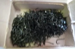 Hameçons 18 Canelle Par 1000 Bleu Renversé -Pêche Expert 00003 Hamecons 18 canelle par 1000 bleu renverse