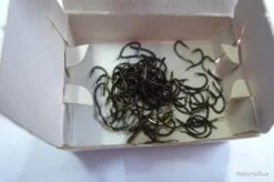 Hameçons 13 MUSTAD 530 Lot De 500 -Pêche Expert 00003 Hamecons MUSTAD 530 lot de 500