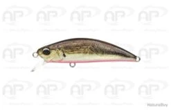 Leurre Truite Duo Spearhead Ryuki 45S Coulant 4 G 4,5 Cm Real Aji RB