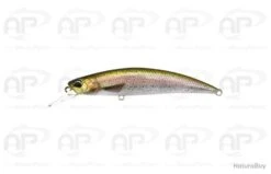 Leurre Truite Duo Spearhead Ryuki 80S Et SW Rainbow Trout Coulant 12 Gr 80 Mm