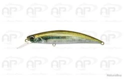 Leurre Truite Duo Spearhead Ryuki 95S Salt Water Ablette 17gr 95 Mm