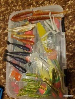 Leurres Souples 14 Leurres Souples -Pêche Expert 00003 Leurres souples