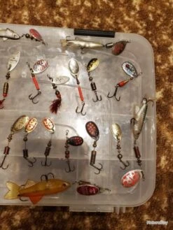 Lot De Cuillères Caperlan -Pêche Expert 00003 Lot de cuilleres caperlan