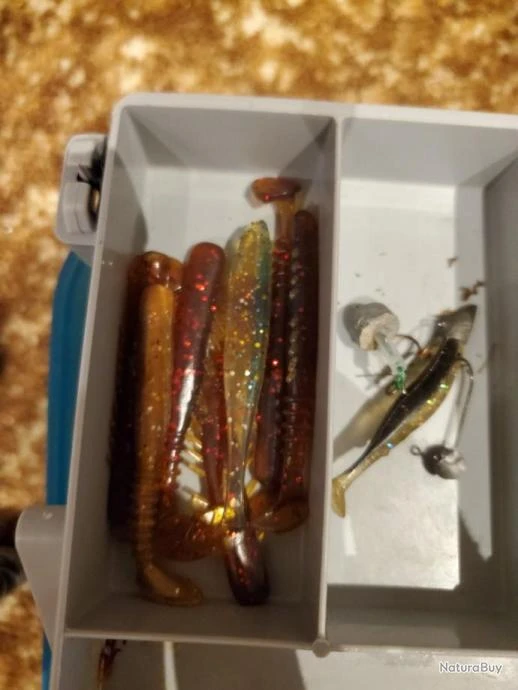 Leurres Souples 4 Leurres Souples – Image 4