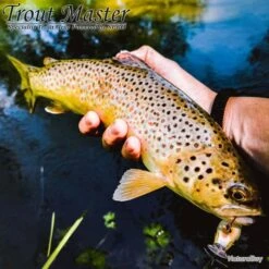 Canne Spinning Spro Trout Master NT Lite Influence 1.80m 2-12g 9 Canne Spinning Spro Trout Master NT Lite Influence 1.80m 2-12g -PĂȘche Expert 00005 Canne Spinning Spro Trout Master NT Lite Influence 1.80m 2 12g