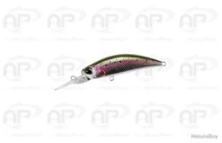 Leurre Truite Duo Spearhead Ryuki Flottant HL Gold Trout Flottant 5,3gr 70mm