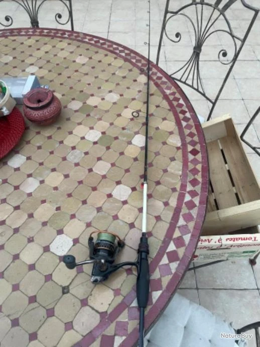 Lot De Canne à Pêche Truite 7 Lot De Canne à Pêche Truite – Image 7