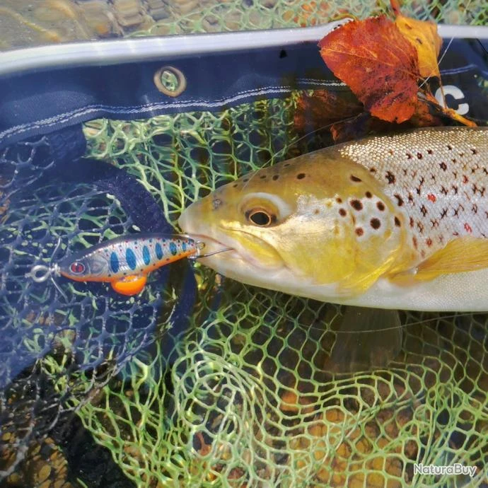 Leurre Sakura Phoxy Spybait 35 S 35mm 4.4g Real Life Fario Trout 8 Leurre Sakura Phoxy Spybait 35 S 35mm 4.4g Real Life Fario Trout – Image 8