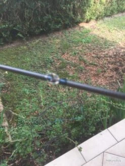 Canne à Pêche Truite -Pêche Expert 00011 Canne a peche truite