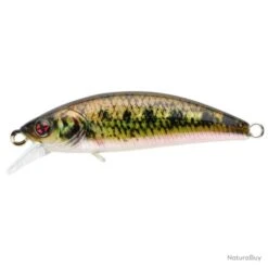 Leurre Coulant Sakura Phoxy Minnow Hw - 5 Cm / 4.5 G / Real Life Vairon -Pêche Expert 00016 Leurre coulant Sakura Phoxy Minnow Hw 5 cm 4.5 g Real Life Vairon