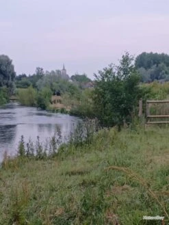 CANNE A MOUCHE COLLECTOR Marque AIKEN (of London). -Pêche Expert 00017 CANNE A MOUCHE COLLECTOR Marque AIKEN of London